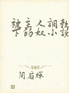 被主人调教成脚下的奴小说全文阅读