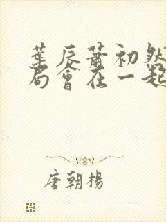 叶辰萧初然大结局会在一起吗