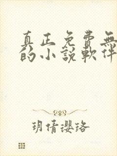 真正免费无广告的小说软件
