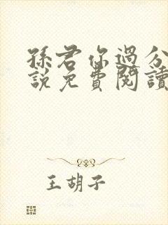 孙君你过分了小说免费阅读无弹窗