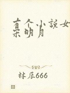 有个小说女主叫宋明月