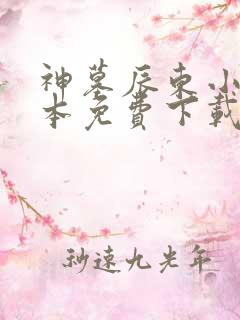 神墓辰东小说全本免费下载