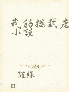 我的总裁老妈 小说