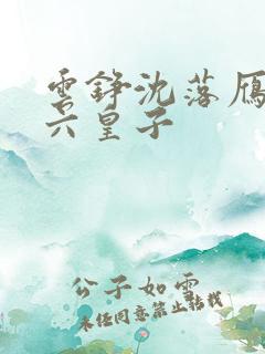云铮沈落雁无敌六皇子
