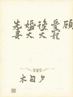 先婚后爱顾少娇妻天天宠