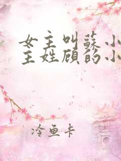 女主叫苏小小男主姓顾的小说 女主叫苏小小男主姓顾的小说