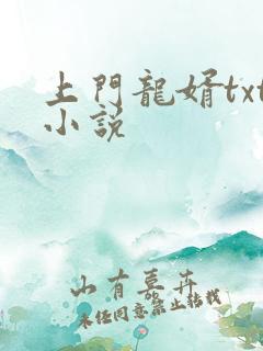 上门龙婿txt小说