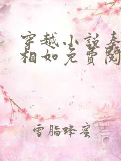 穿越小说秦墨秦相如免费阅读