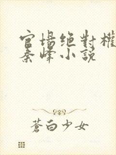 官场绝对权力之秦峰小说