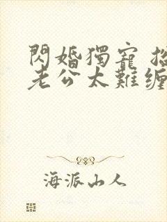 闪婚独宠 总裁老公太难缠全本