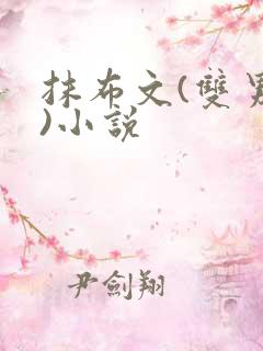 抹布文(双男主)小说