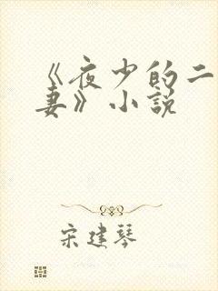 《夜少的二婚新妻》小说