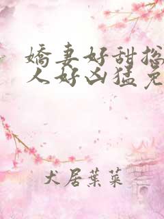 娇妻好甜总裁大人好凶猛免费小说 娇妻好甜总裁大人好凶猛免费小说