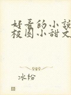 好看的小说言情校园小甜文