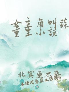 女主角叫苏禾的重生小说