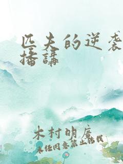 匹夫的逆袭蜘蛛播讲