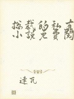 总裁的私有宝贝小说免费阅读全文无弹窗