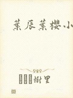 叶辰叶樱小说