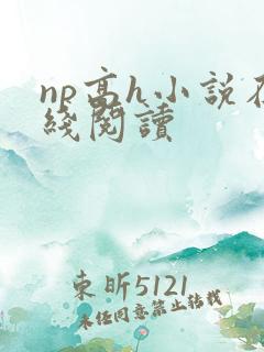 np高h小说在线阅读