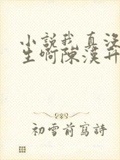 小说我真没想重生啊陈汉升