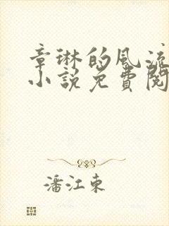 章琳的风流人生小说免费阅读全文