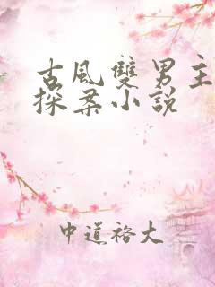 古风双男主悬疑探案小说