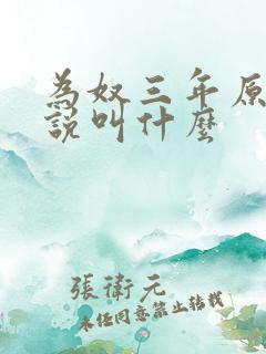为奴三年原著小说叫什么