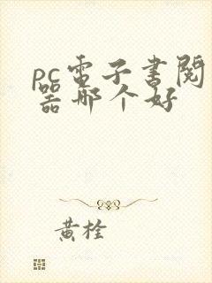 pc电子书阅读器哪个好