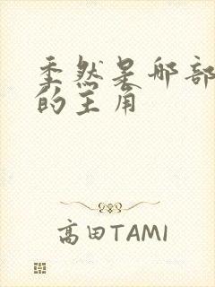 季然是哪部小说的主角