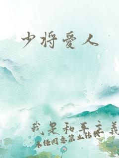 少将爱人