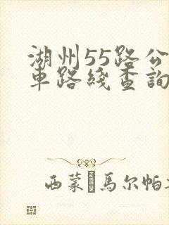 湖州55路公交车路线查询