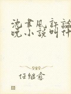 沈聿风许谧宋星晚小说叫什