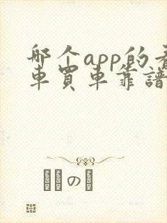 哪个app的看车买车靠谱
