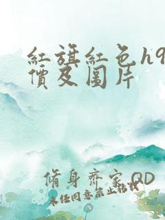 红旗红色h9报价及图片