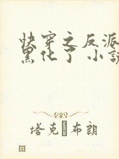快穿之反派终于黑化了 小说