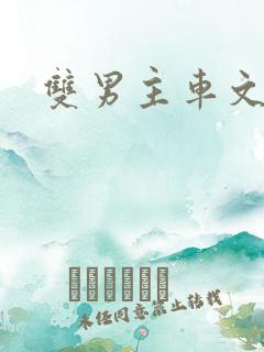 双男主车文双性