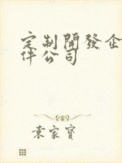 定制开发企业软件公司