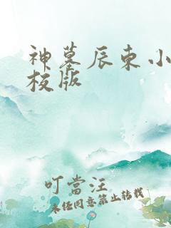 神墓辰东小说精校版