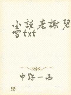 小说老谢儿媳韩雪txt
