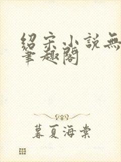 绍宋小说无删减笔趣阁