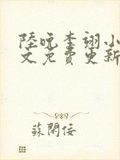 陆晚李翊小说全文免费更新时间