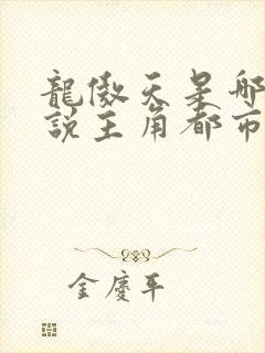 龙傲天是哪本小说主角都市