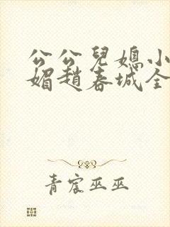 公公儿媳小说苏媚赵春城全文阅读