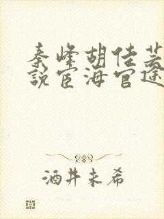 秦峰胡佳芸的小说宦海官途
