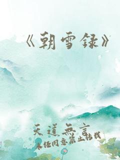 《朝雪录》小说