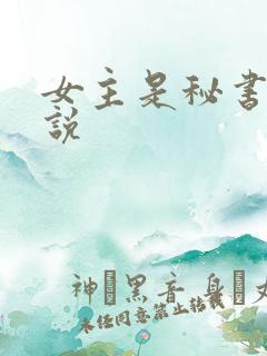 女主是秘书的小说