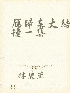 雁归来大结局最后一集