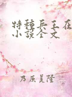 特种兵王在山村小说全文