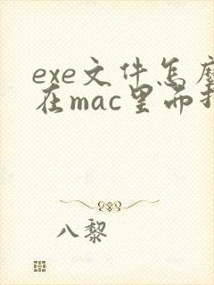 exe文件怎么在mac里面打开
