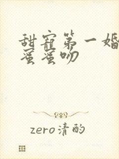甜宠第一婚总裁蜜蜜吻